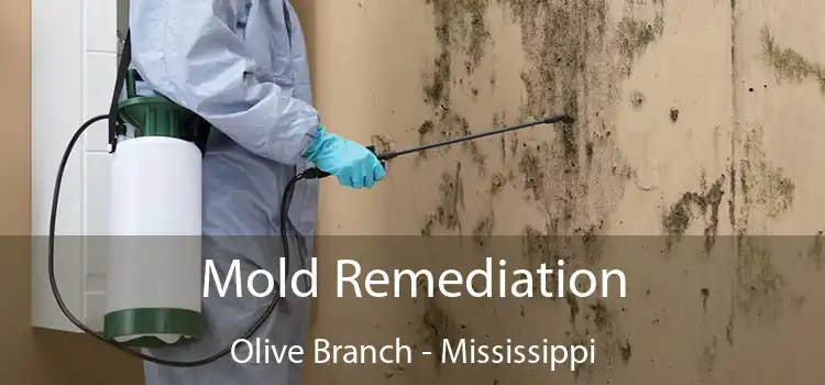 Mold Remediation Olive Branch - Mississippi