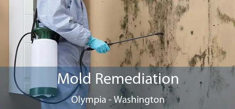 Mold Remediation Olympia - Washington