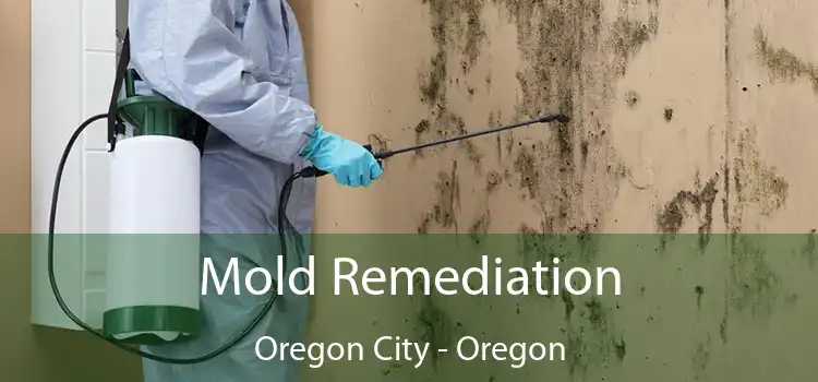 Mold Remediation Oregon City - Oregon