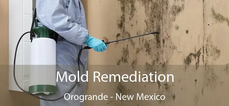 Mold Remediation Orogrande - New Mexico