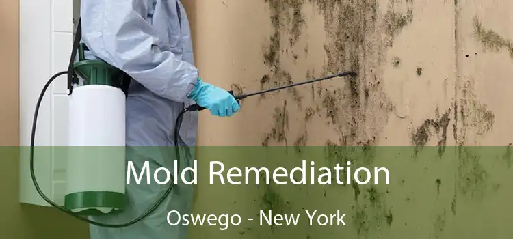 Mold Remediation Oswego - New York