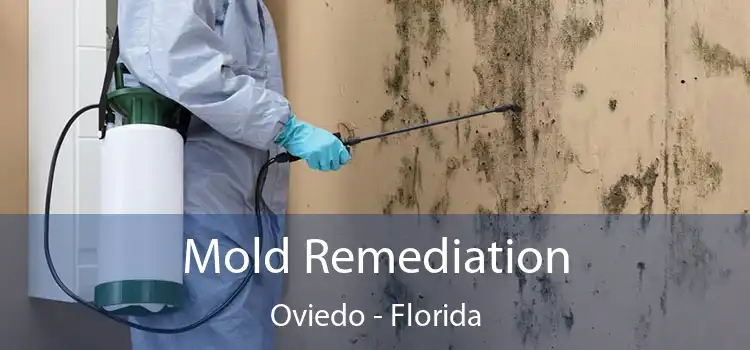 Mold Remediation Oviedo - Florida