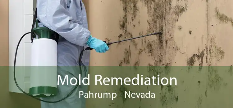 Mold Remediation Pahrump - Nevada