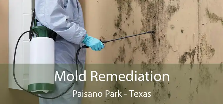 Mold Remediation Paisano Park - Texas