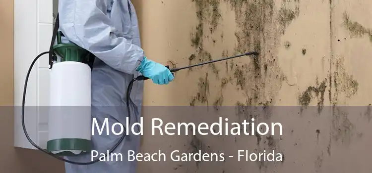 Mold Remediation Palm Beach Gardens - Florida