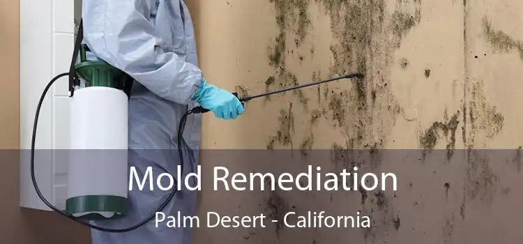 Mold Remediation Palm Desert - California