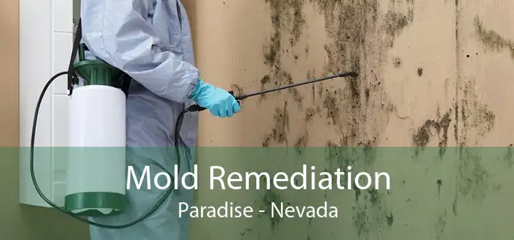 Mold Remediation Paradise - Nevada