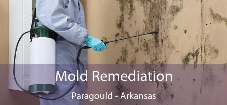 Mold Remediation Paragould - Arkansas