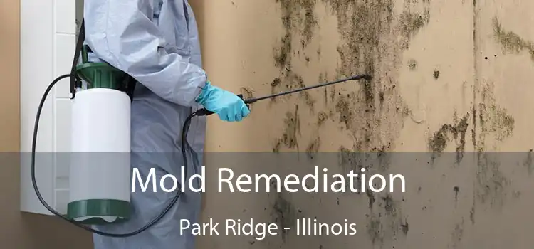 Mold Remediation Park Ridge - Illinois