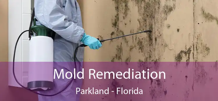 Mold Remediation Parkland - Florida