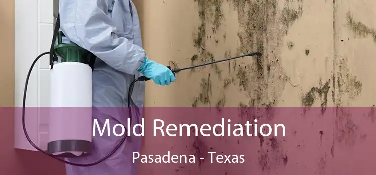 Mold Remediation Pasadena - Texas