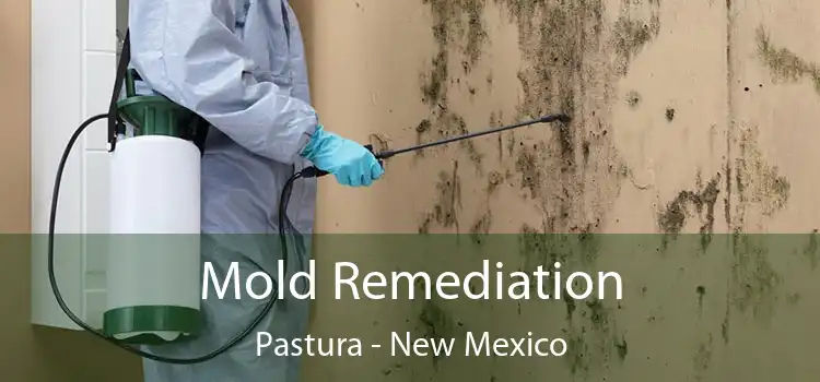 Mold Remediation Pastura - New Mexico