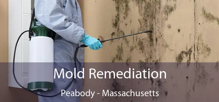 Mold Remediation Peabody - Massachusetts