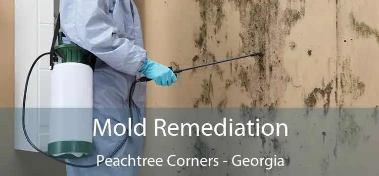 Mold Remediation Peachtree Corners - Georgia