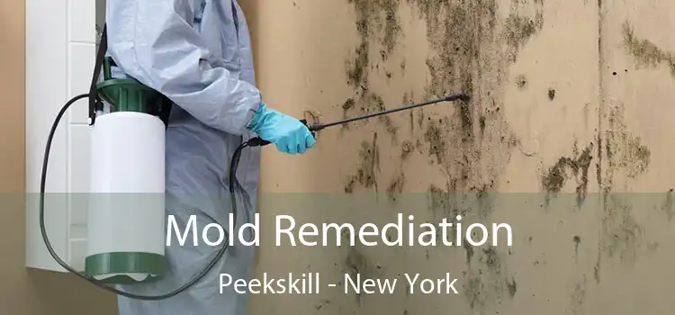 Mold Remediation Peekskill - New York