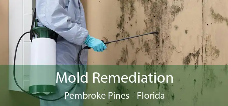 Mold Remediation Pembroke Pines - Florida