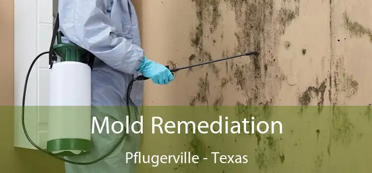 Mold Remediation Pflugerville - Texas