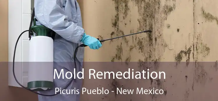 Mold Remediation Picuris Pueblo - New Mexico