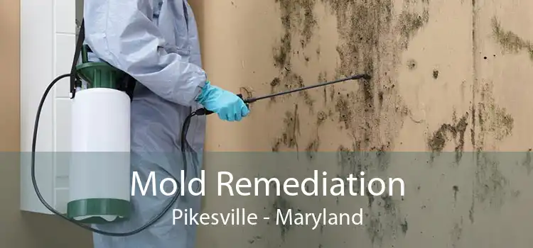 Mold Remediation Pikesville - Maryland