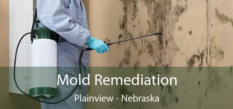 Mold Remediation Plainview - Nebraska