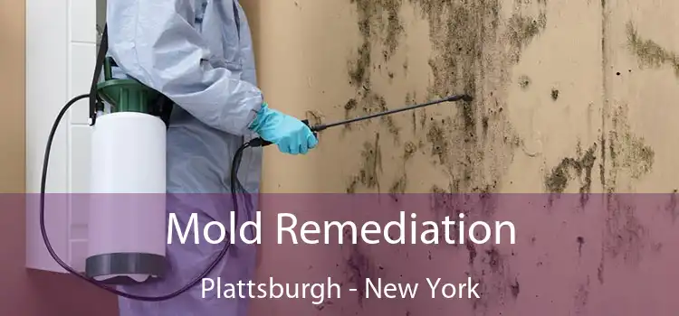 Mold Remediation Plattsburgh - New York