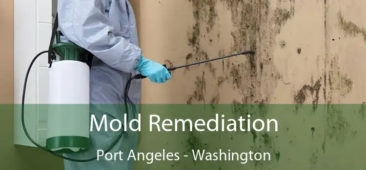 Mold Remediation Port Angeles - Washington