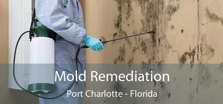 Mold Remediation Port Charlotte - Florida