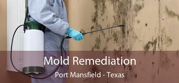 Mold Remediation Port Mansfield - Texas