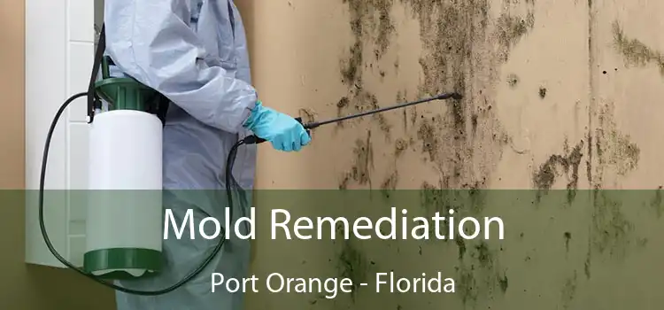 Mold Remediation Port Orange - Florida