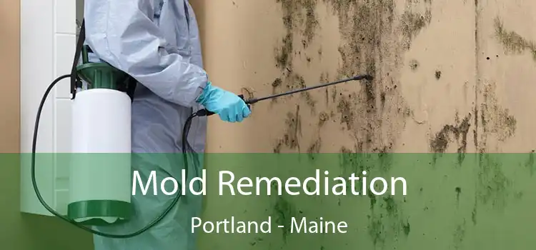 Mold Remediation Portland - Maine