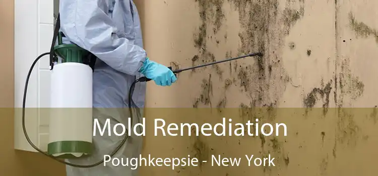 Mold Remediation Poughkeepsie - New York