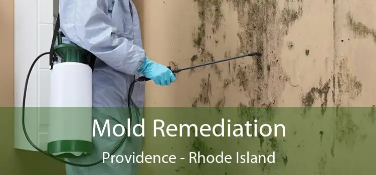 Mold Remediation Providence - Rhode Island