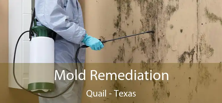 Mold Remediation Quail - Texas