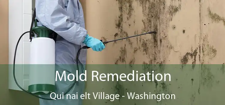 Mold Remediation Qui nai elt Village - Washington