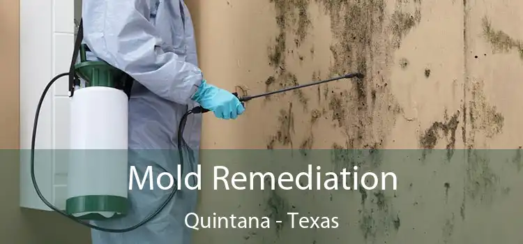 Mold Remediation Quintana - Texas