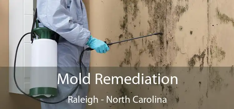 Mold Remediation Raleigh - North Carolina