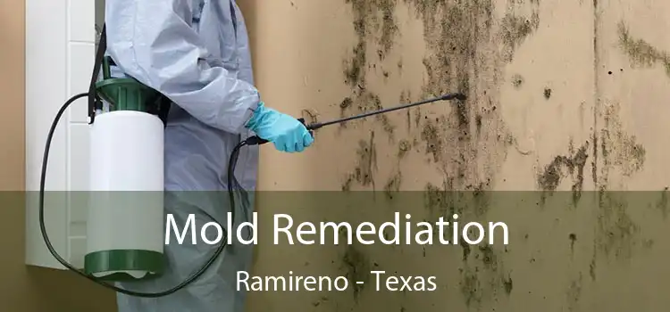 Mold Remediation Ramireno - Texas