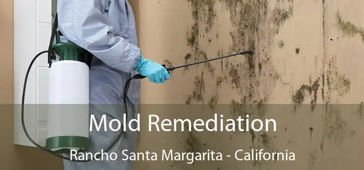 Mold Remediation Rancho Santa Margarita - California