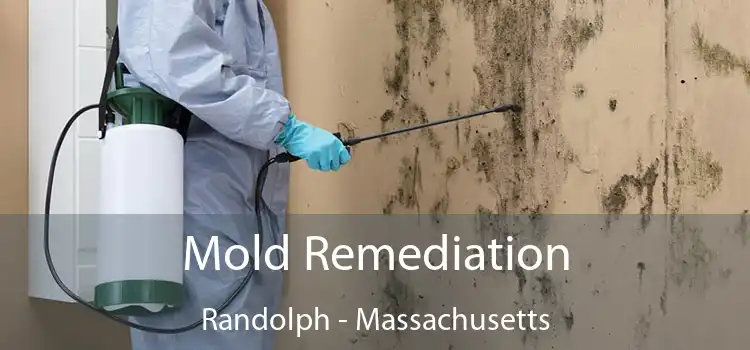 Mold Remediation Randolph - Massachusetts