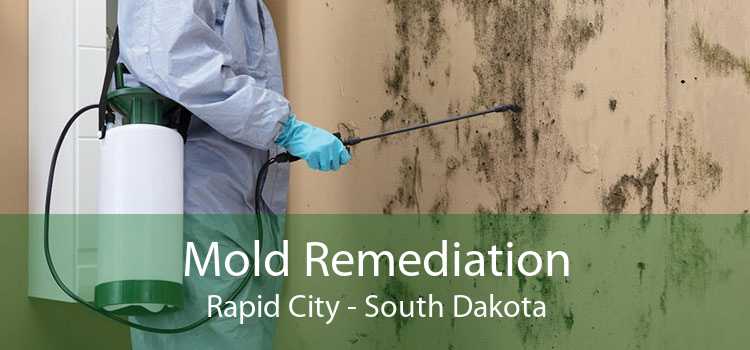 Mold Remediation Rapid City - South Dakota