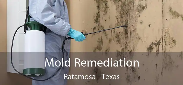 Mold Remediation Ratamosa - Texas