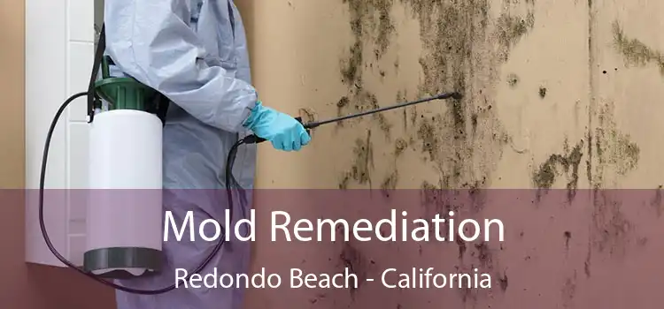 Mold Remediation Redondo Beach - California