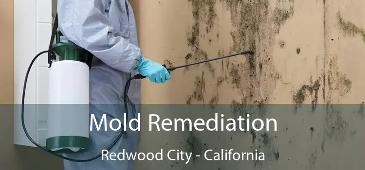 Mold Remediation Redwood City - California