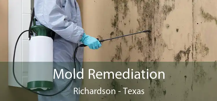 Mold Remediation Richardson - Texas