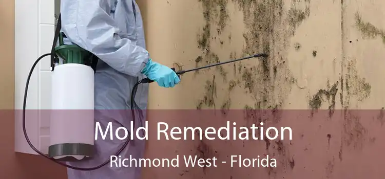 Mold Remediation Richmond West - Florida