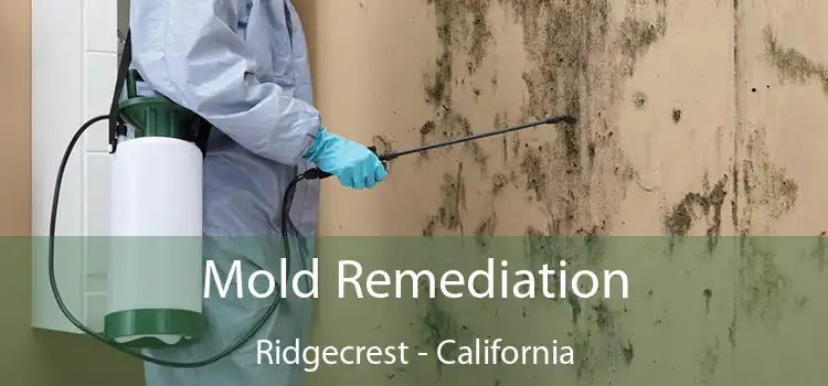 Mold Remediation Ridgecrest - California