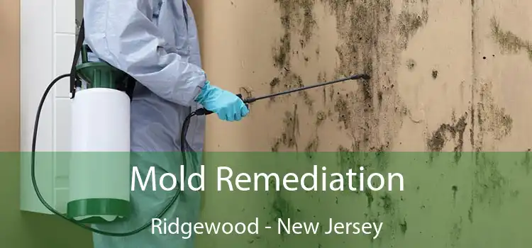 Mold Remediation Ridgewood - New Jersey