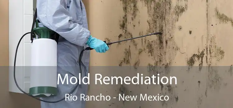 Mold Remediation Rio Rancho - New Mexico