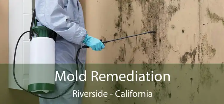 Mold Remediation Riverside - California