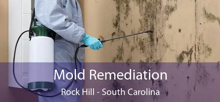 Mold Remediation Rock Hill - South Carolina